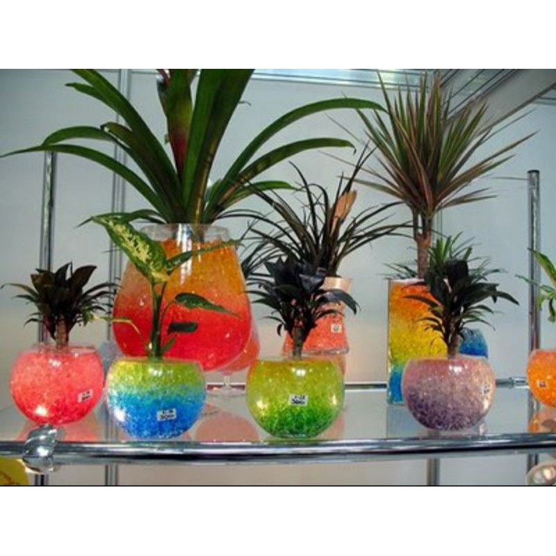 hidrogel bola boba waterbeads mainan bulat air jelly bead hydrogel sensory play mainan sensori bola