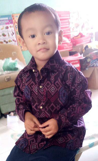 Ameliashop16 Kemeja Batik Songket Snow M L Xl Xxl Xxxl Premium