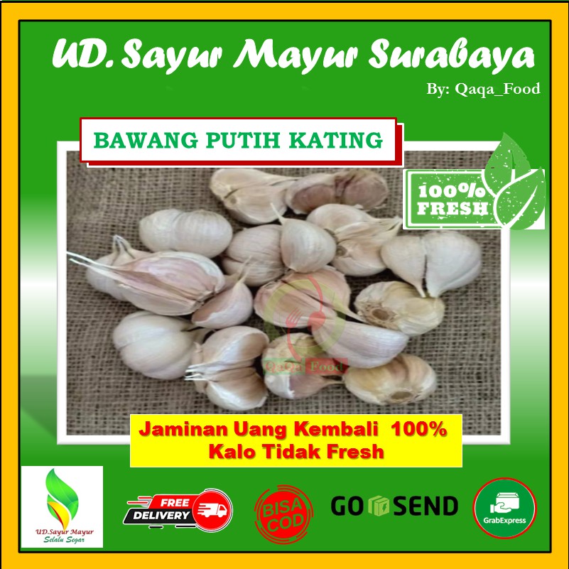 

BAWANG PUTIH KATING SAYURAN SEGAR bawang cutting EMPON BUMBU DAPUR 500 gram - UD165