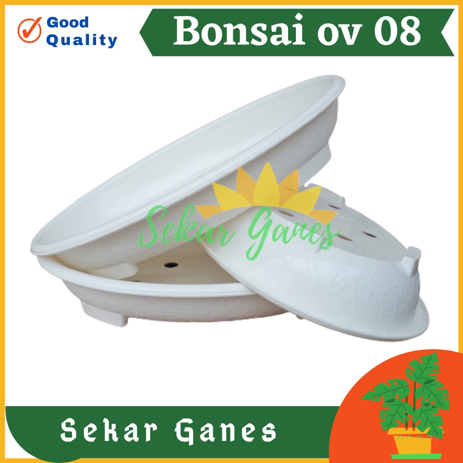 ORI BJP BONSAI OVAL OV 08 Putih Pot Bunga Plastik Bonsai Budi Jaya Motif Batu Alam Ceper Pendek Pot Bonsai Plastik Keramik Semen Bonsai Mame Kelapa Besar Mini