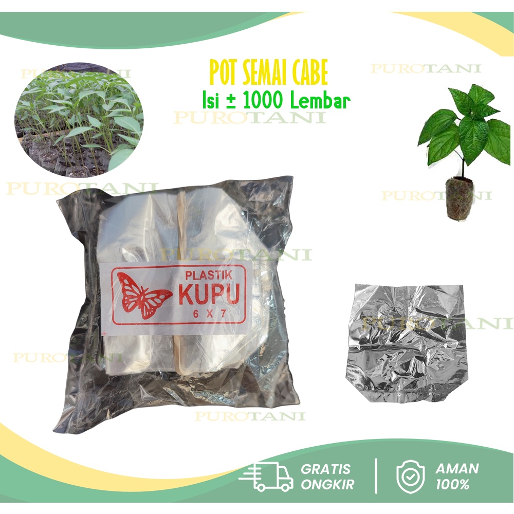 Pot semai Cabe 6x7 cm polybag cabe 6cmx7cm 1000an pcs