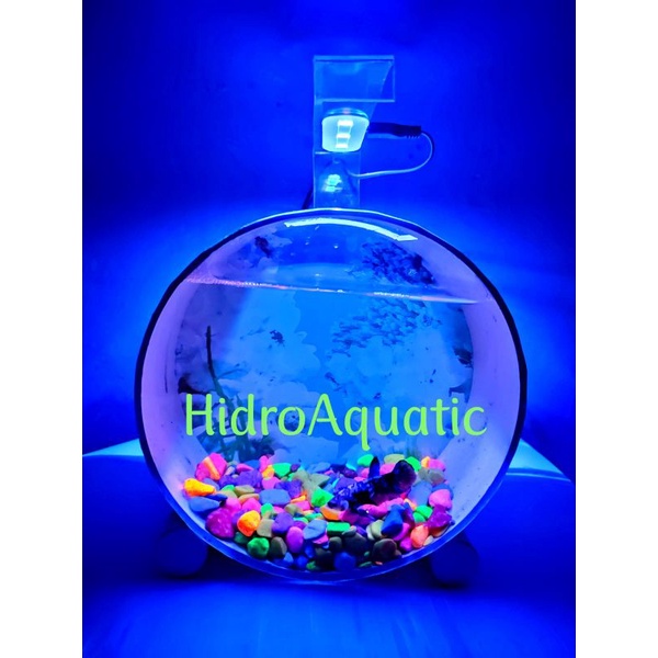 PROMO LAMPU UV MINI AQUARIUM SIAP PAKAI LAMPU UV SOLITER LAMPU UV AQUASCAPE MINI LAMPU UV CUPANG BETTA GUPPY