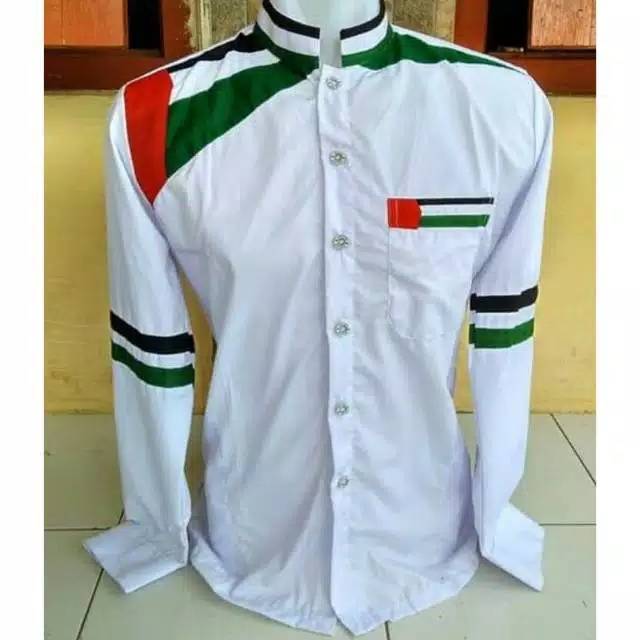 Koko Palestina Putih