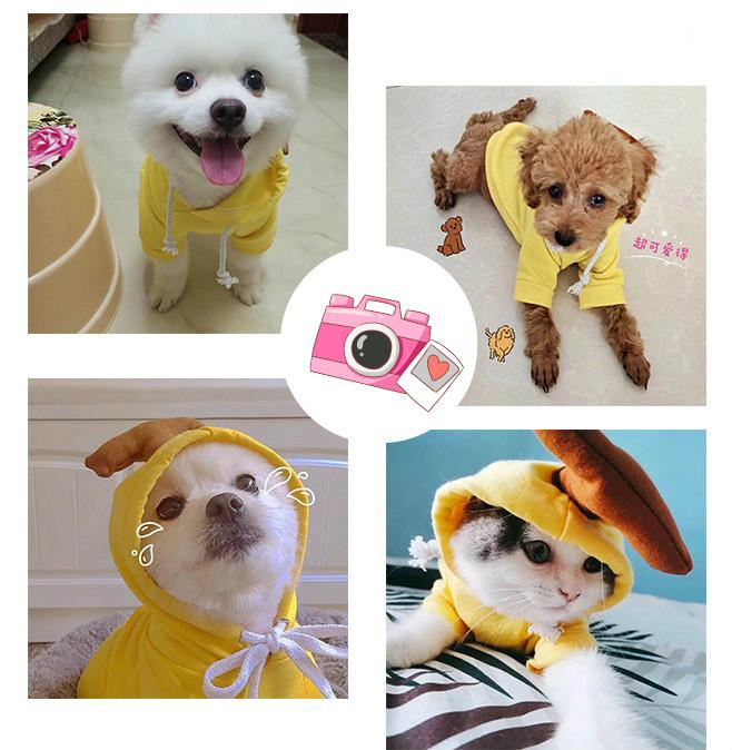 ★〓YUFeiPet〓★ Spring and Summer Cartoons Cute Fruit Pattern Pet Jacket Suitable for Chihuahua Bichon Small and Medium Pet Dog Clothes