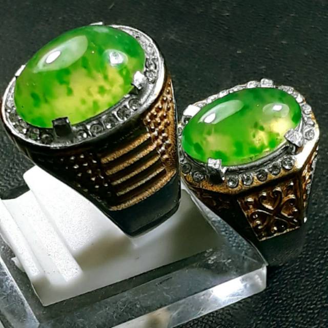 LUMUT KUMBANG JATI KANTORAN