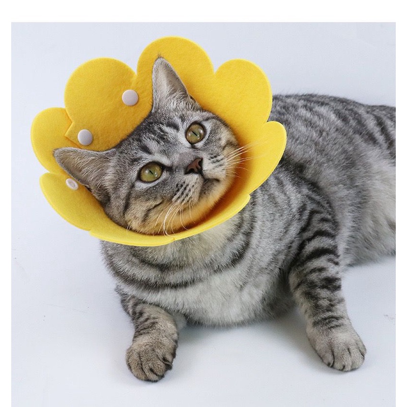 PH.Medan Pet Protection Collar Colar Anjing Kucing Pelindung Penutup Leher
