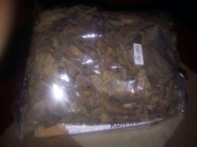 Herbal Benalu Di Pohon Teh Original Anti Tumor Dan Kanker 100 Gr