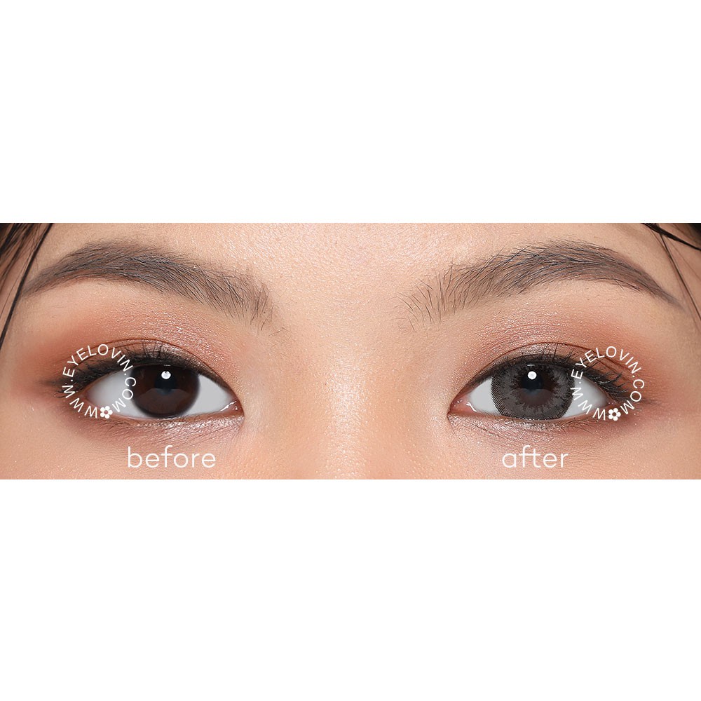 EYELOVIN Softlens Mite Clair - Royal Almond Grey (DIA: 14.5mm)