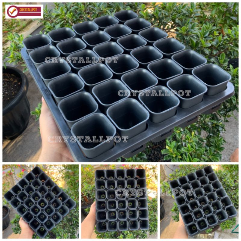 1 SET TRAY LUBANG 30 + POT NKT KOTAK 5CM HITAM 30 PCS | TRAY SEMAI BIBIT