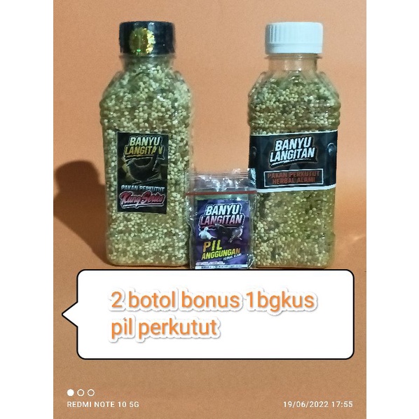 pakan perkutut kung series dan herbal banyu langitan 2 botol bonus 1 pcs pil perkutut