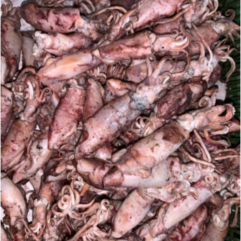 

Cumi asin 500gr
