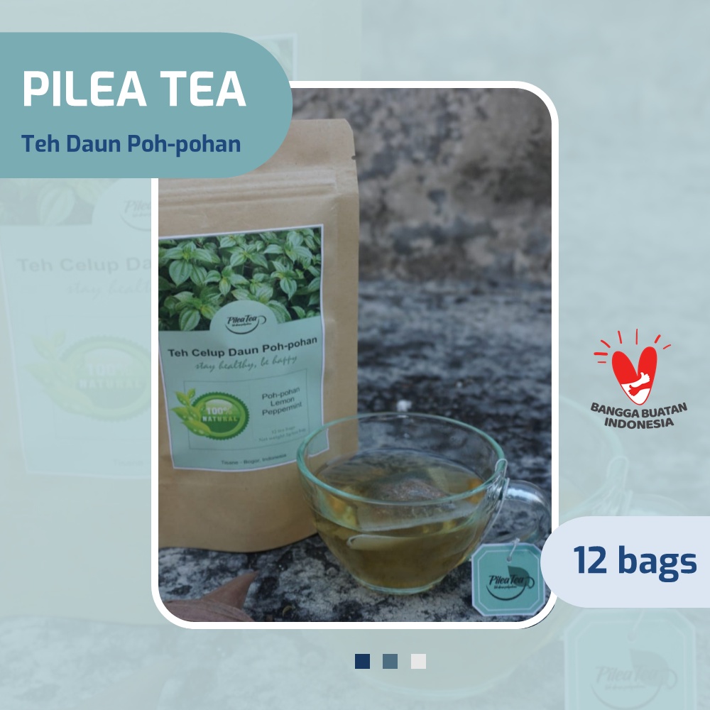 

ANTIDIABETES - TEH DAUN POH-POHAN - PILEA TEA