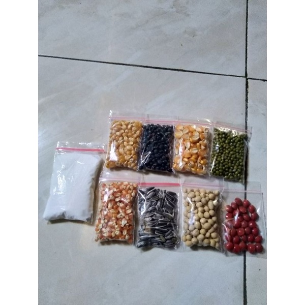 8 Macam Biji Bijian plus Lem