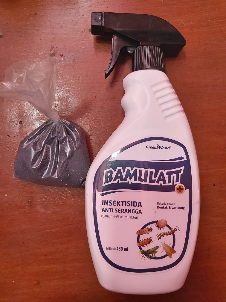 Bamulat 480ml Insektisida Petisida Racun Serangga