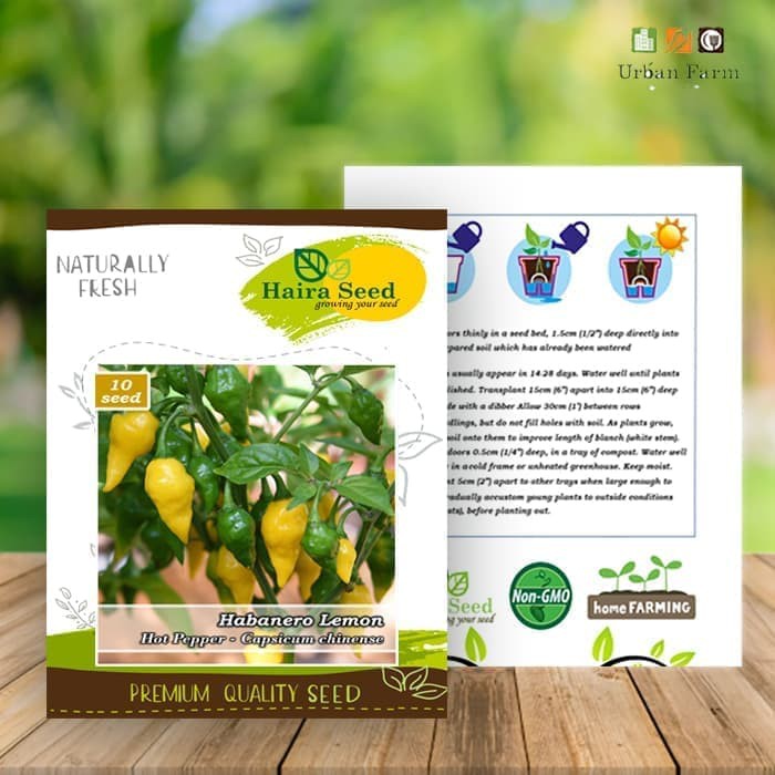 Benih-Bibit Cabe Super Pedas Habanero Lemon (Haira Seed)
