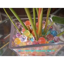 Hydrogel Hidrogel Water Beads Media Tanam 5gram Warna Warni PG SBY