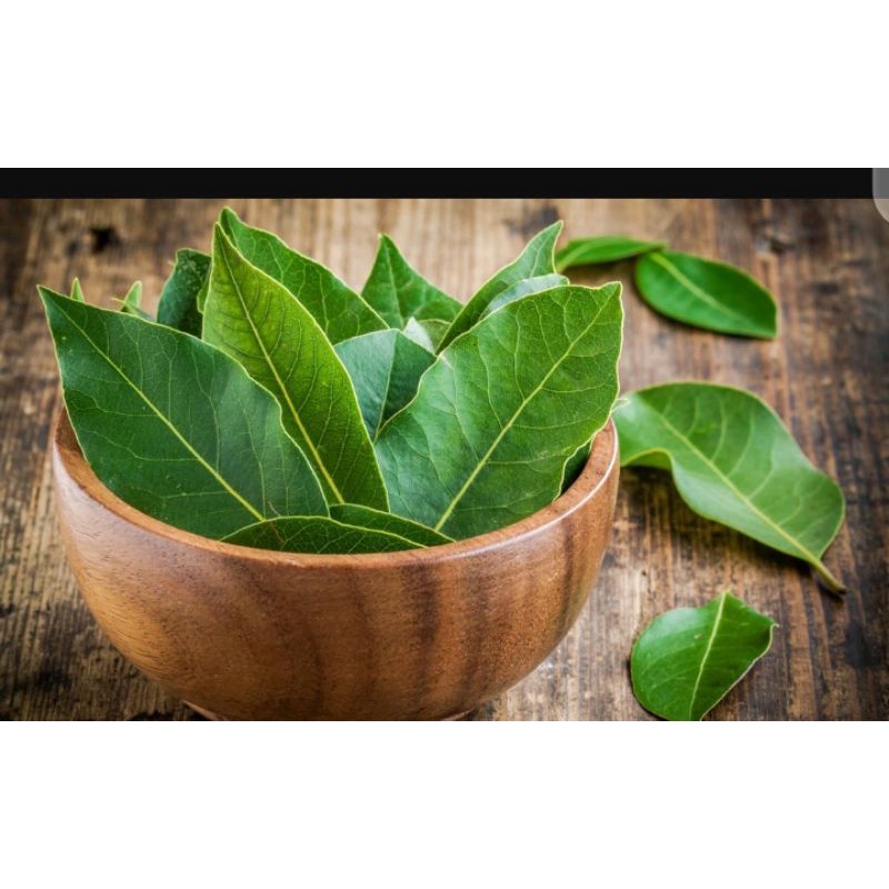 

daun salam bumbu dapur 150g