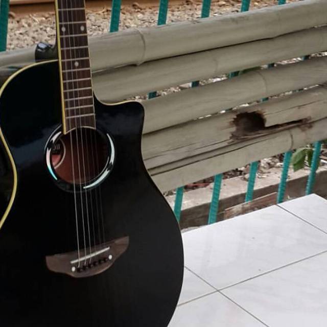 Gitar akustik apx 500ii