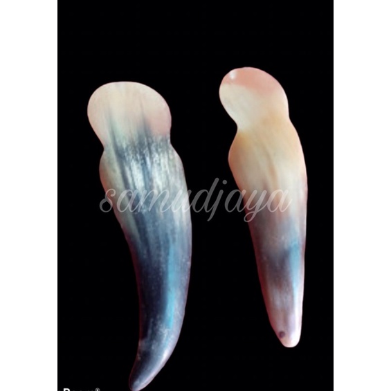 alat kerokan badan dari tanduk sapi