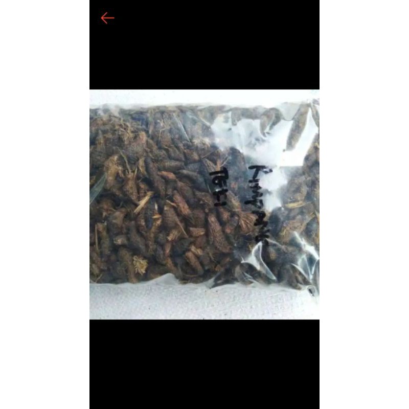 Jual seket teki rimpang kering 1kg Shopee Indonesia