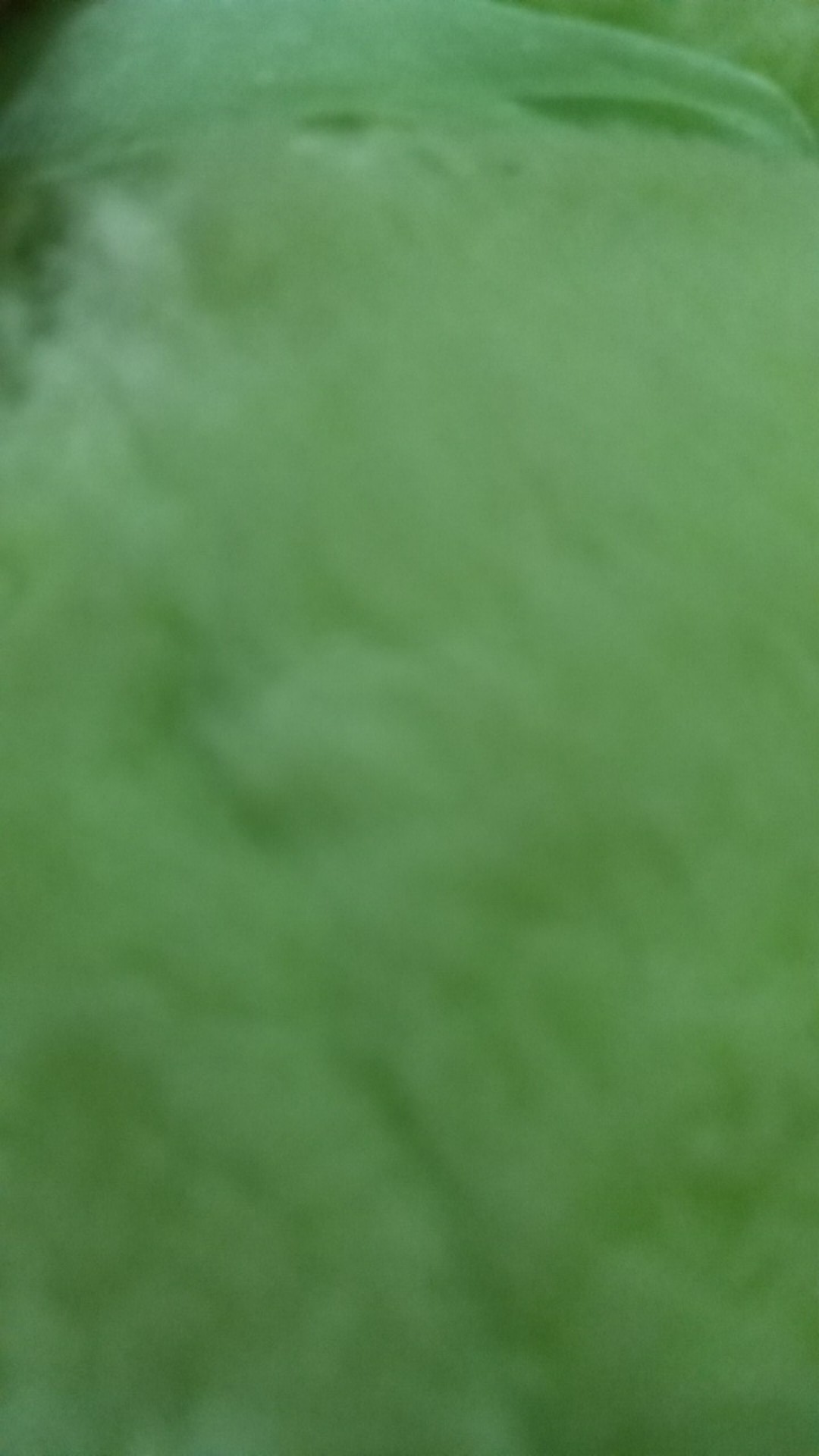 Kemeja Anak Oxford - Kemeja Lengan Panjang - Kemeja Polos Anak  1-9tahun Mvin