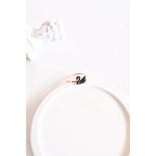 CHIWY.ID | AKYLA RING | CINCIN STAINLESS | CINCIN TITANIUM | CINCIN ANTI KARAT | CINCIN ROSEGOLD | C