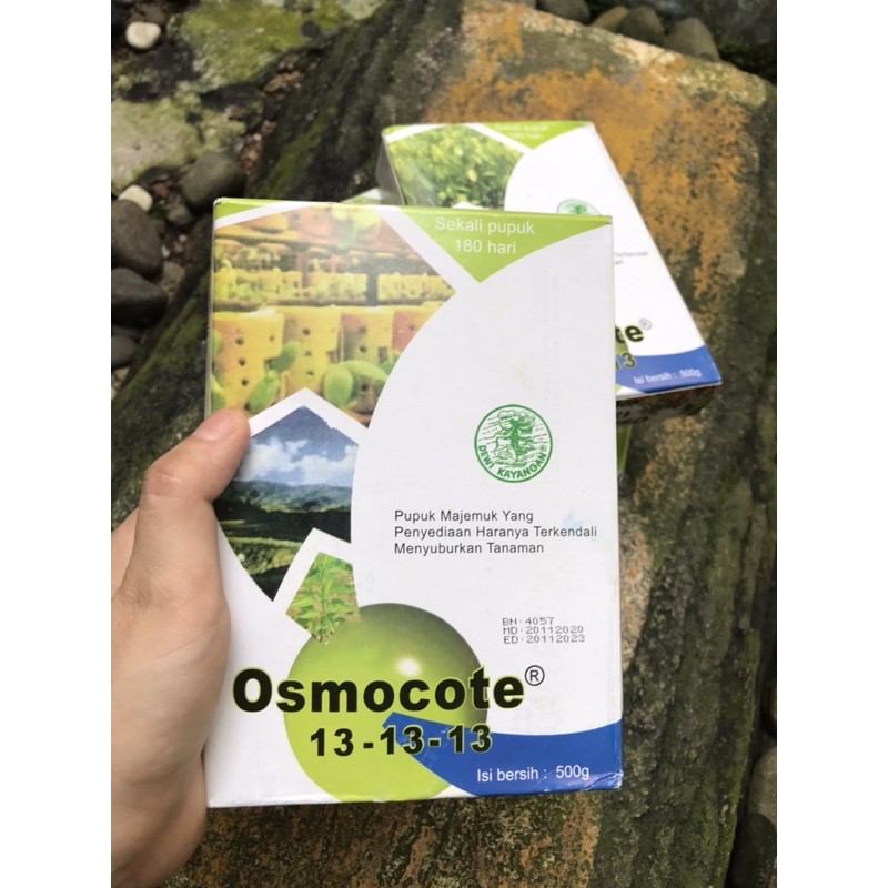 ORI PUPUK DEKASTAR 13-13-13 TE 500 GRAM GR PUPUK MAJEMUK OSMOCOTE 500GR 131313