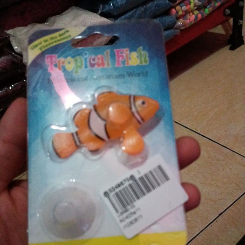 ornamen ikan badut nemo