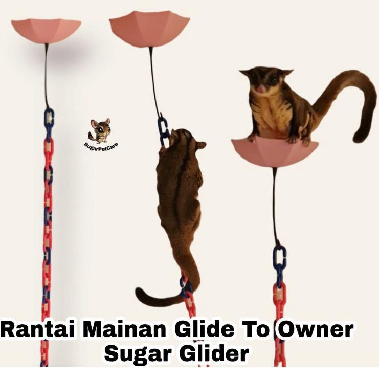 Penjualan Terlaris Rantai Mainan Glide To Owner Sugar Glider