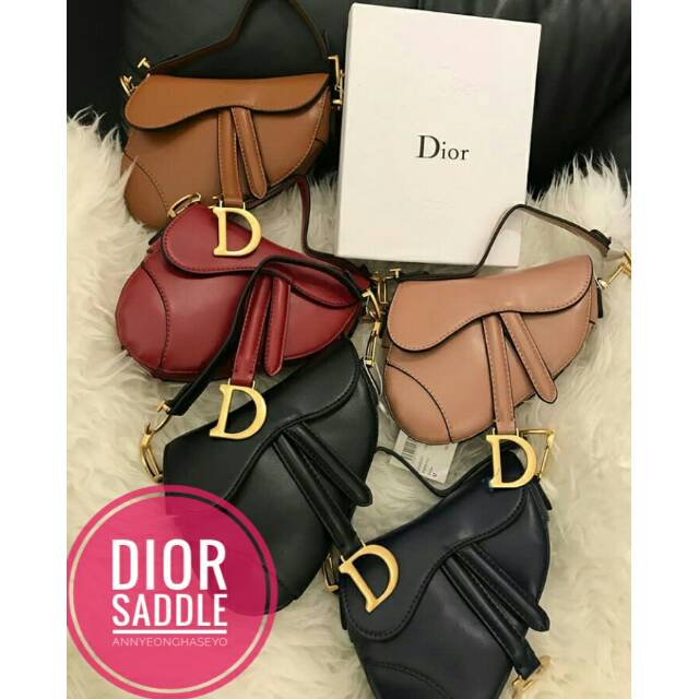 Dior Saddle Mini