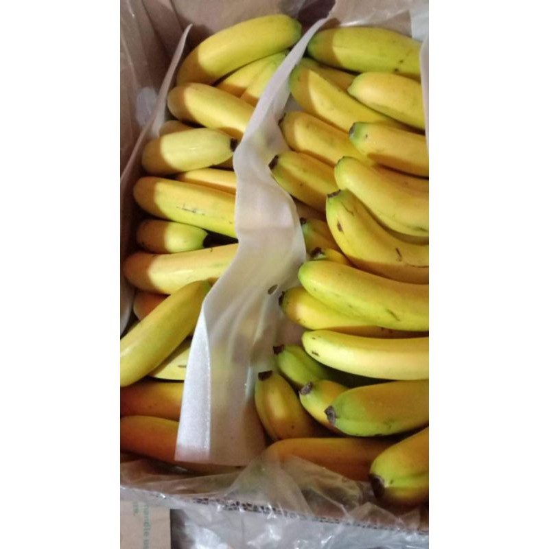 

Pisang Cavendish 500 gram