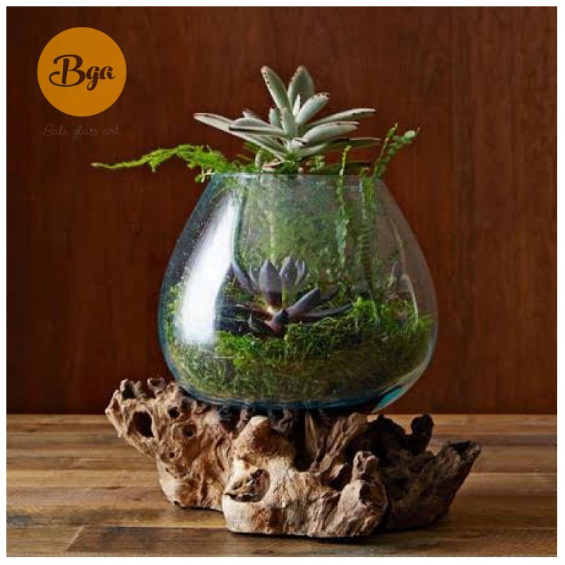 AKUARIUM IKAN CUPANG / AQUASCAPE / AQUARIUM UNIK GLASSWOOD pot kaca tiup