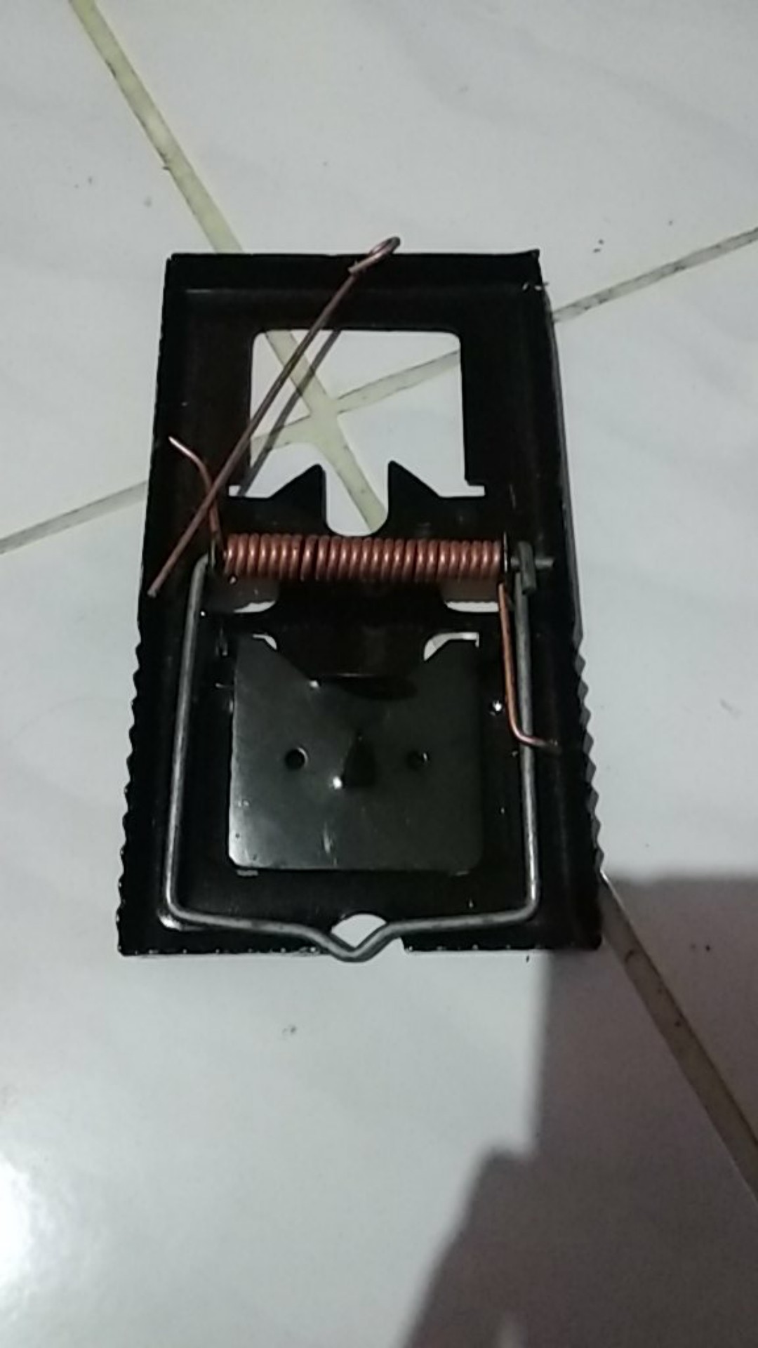 Perangkap Tikus Manual
