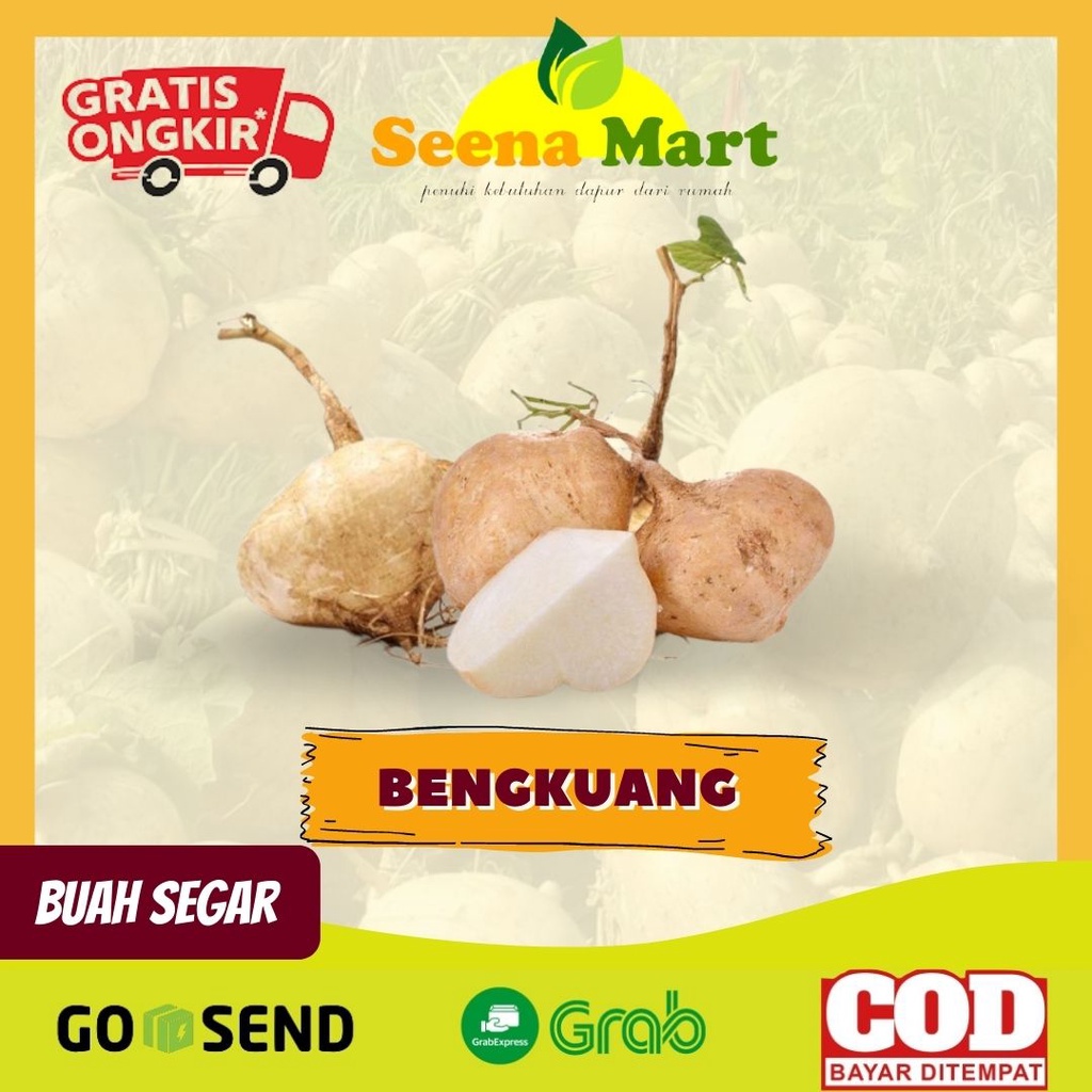 

Buah Bengkoang Bengkuang Segar Petisan Tekwan 1 Ikat Buah Lampung