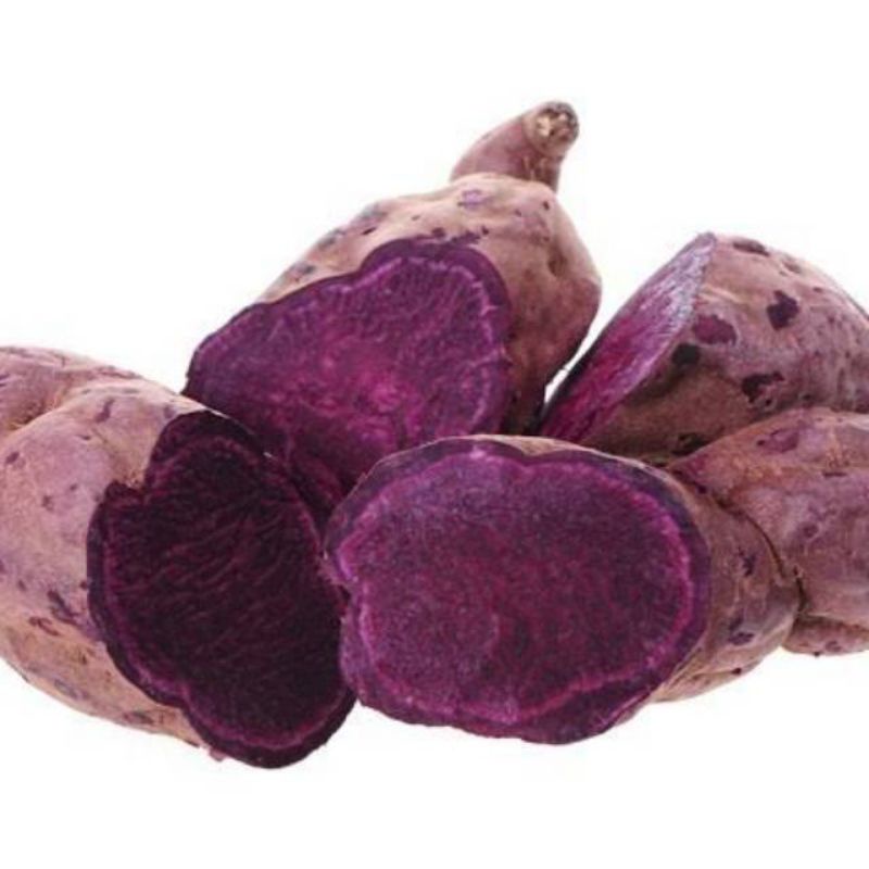 

Ubi Ungu Uwi Ungu Segar Fresh Purple Sweet Potato Terlaris Per1Kg Pilihan Terbaik