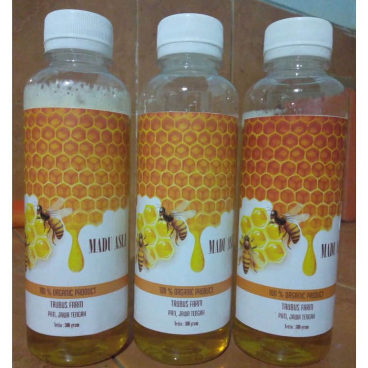 

Madu Lebah Asli
