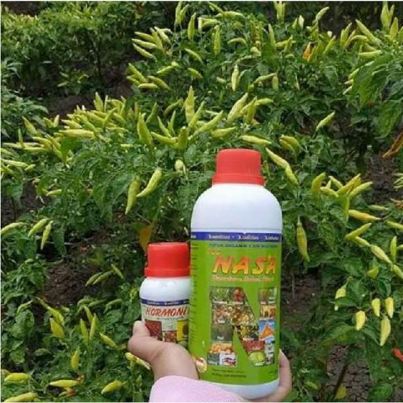 POC/ PUPUK ORGANIK SETARA 1 TON PUPUK KANDANG/PUPUK CAIR