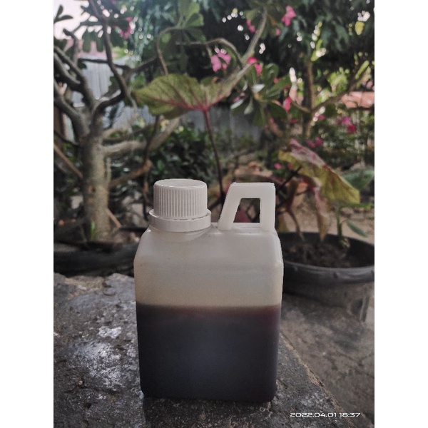 

Madu asli tanpa campuran