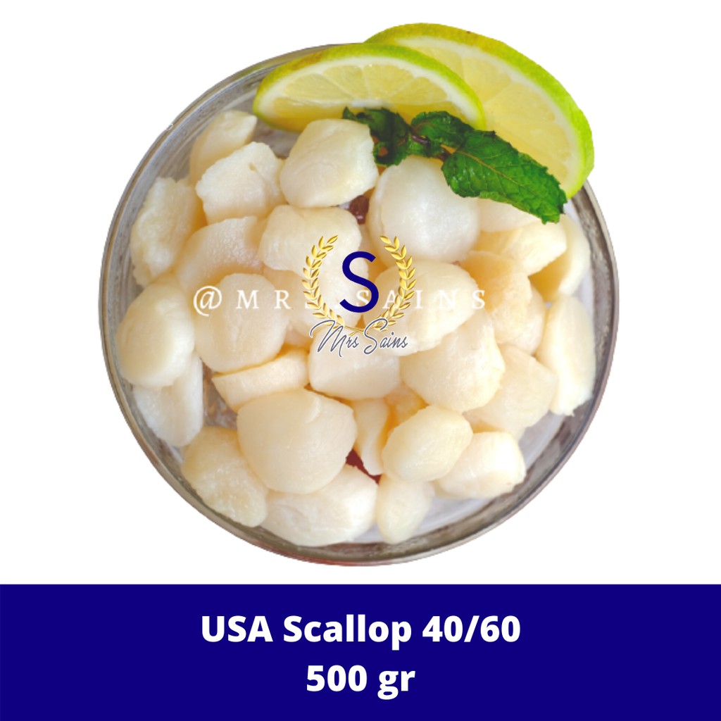 Scallop Frozen Adalah UtopianQuery