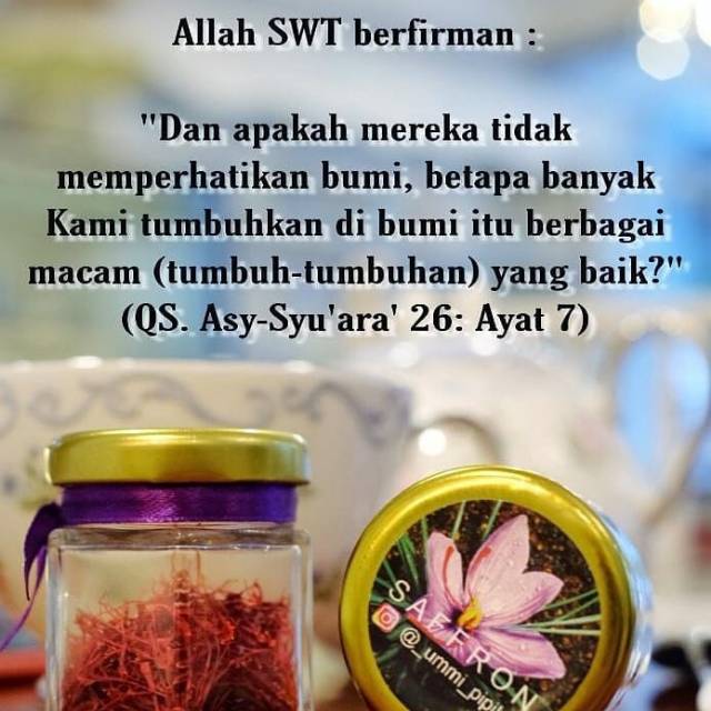 

saffron super negin original by ummi_pipik