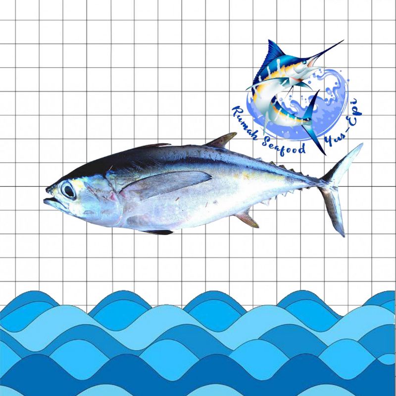 

Ikan Yellowfin Baby Tuna - rumahseafoodyusepi
