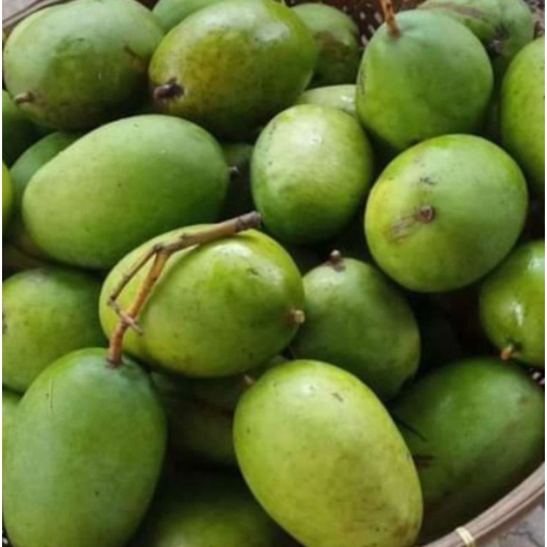 

MANGGA KWENI FRESH 1KG