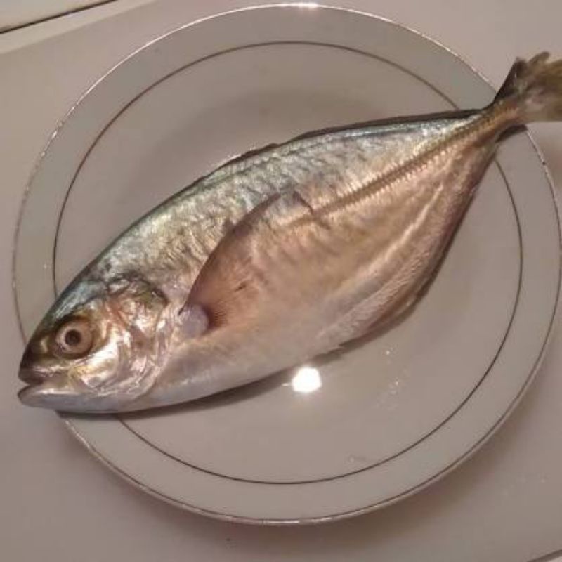 

Ikan Kuwe Lilin Segar