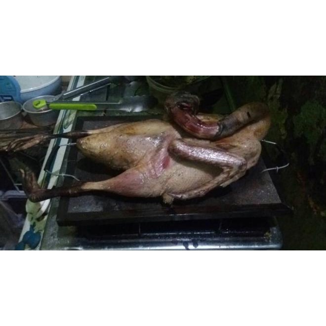 

Gulai Itiak Lado Mudo Bukit Tinggi - Menu Instan
