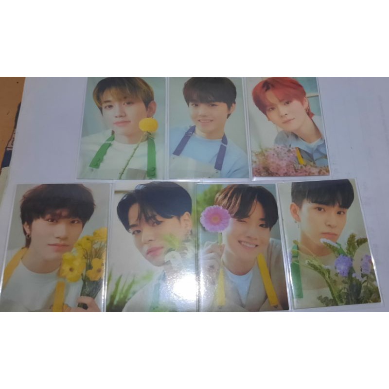 PC BINDER BLOOMING TREASURE