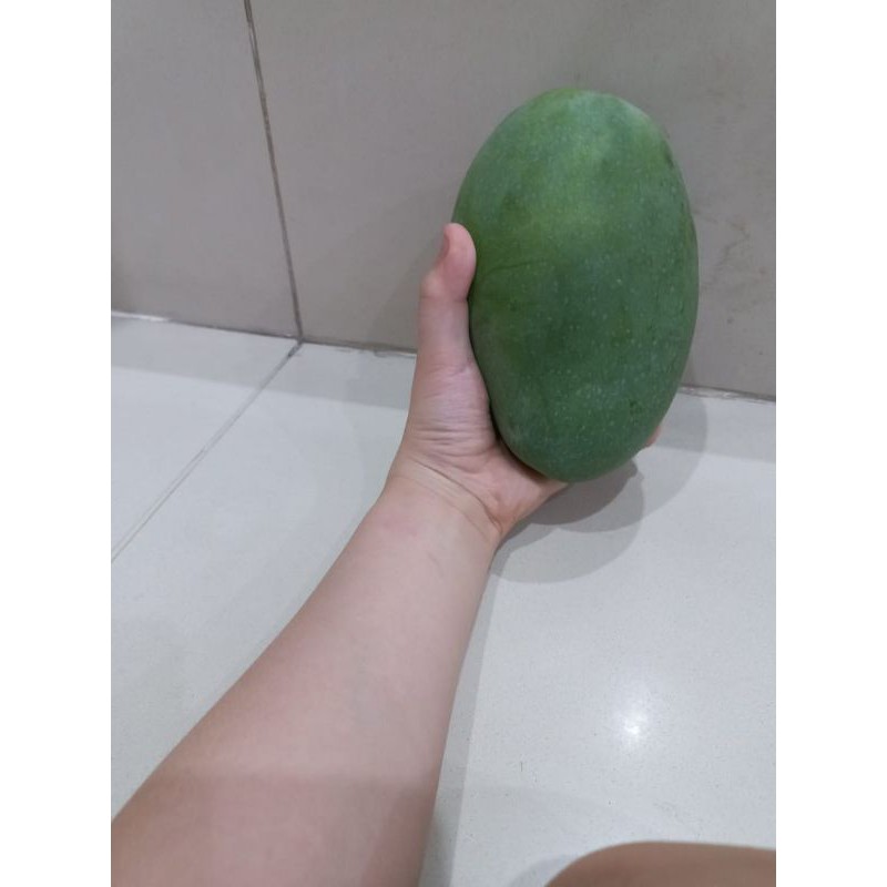 

mangga premium