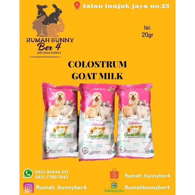 susu colostrum