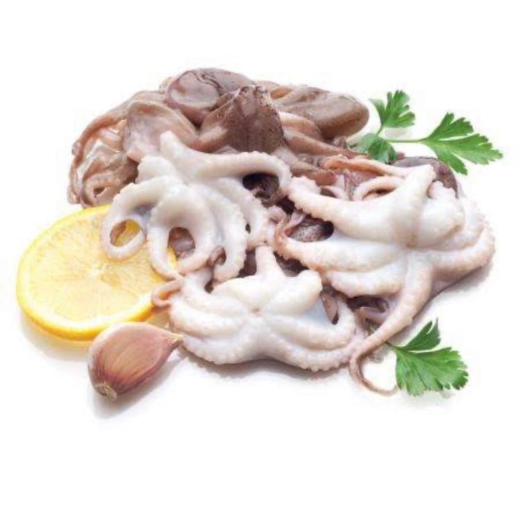 

BABY OCTOPUS
