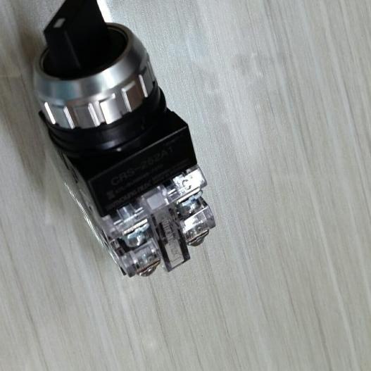 ❇ Selector switch CR253 "Hanyoung" ☃