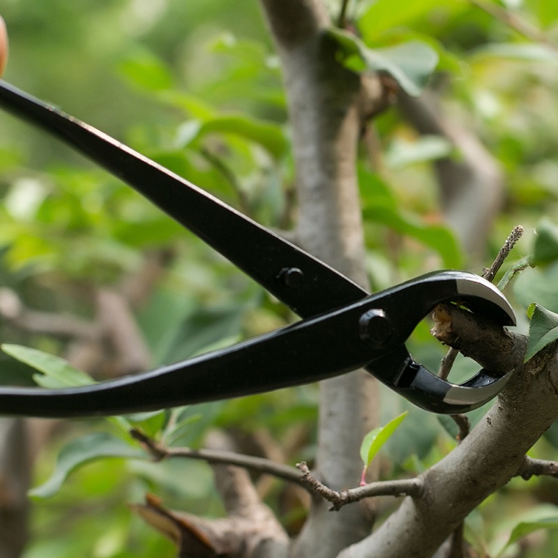 Mi.more Pemangkas Bonsai Gunting Bunga Potong Cabang Bend Cabang Mengatur Taman Lebih Praktis Knob Cutter Bonsai Catok Alat Pemotong